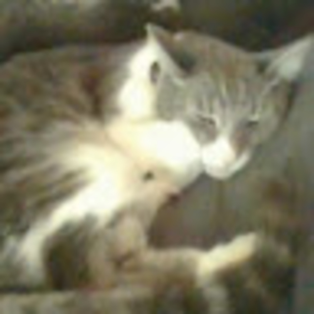 Meet your Posher, Jaimie!